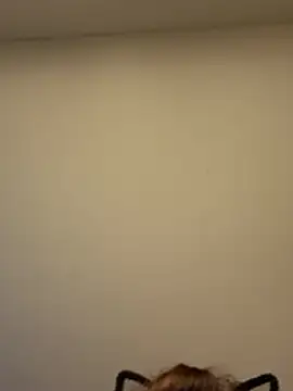 Snapshot of KittyCreamKisses chatting on February 20, 2026, 4:42 am KittyCreamKisses online show from February 20, 2026, 4:42 am