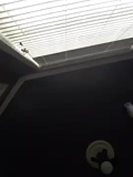 Snapshot of Derrick7799 chatting on February 21, 2026, 8:21 pm Derrick7799 online show from February 21, 2026, 8:21 pm