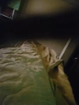 Xavlex0803 online show from April 17, 2026, 12:41 pm