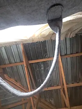 Snapshot of Sihle_Plays chatting on March 7, 2026, 11:40 am Sihle Plays online show from March 7, 2026, 11:40 am