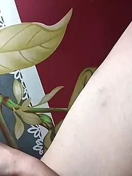 huuluat2 online show from January 17, 2026, 11:41 pm