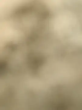 Snapshot of Pagelboy_089 chatting on February 15, 2026, 9:30 am Pagelboy 089 online show from February 15, 2026, 9:30 am