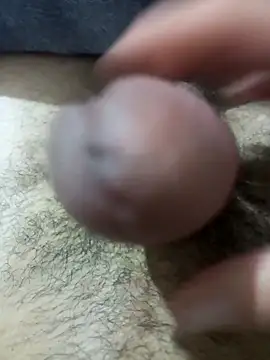 Snapshot of So1sh chatting on February 26, 2026, 4:33 am So1sh online show from February 26, 2026, 4:33 am