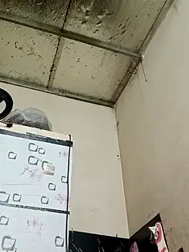 Snapshot of Sana-vn chatting on March 1, 2026, 12:23 am Sana-vn online show from March 1, 2026, 12:23 am