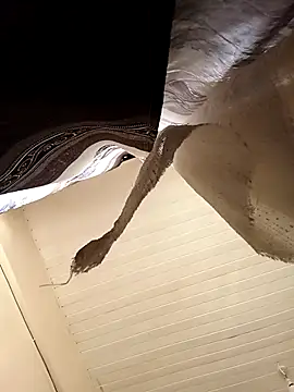 shanicollete online show from January 15, 2026, 4:28 am