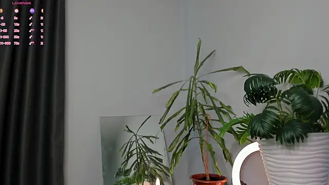 Snapshot of ManiJuanaa chatting on May 8, 2026, 9:25 am ManiJuanaa online show from May 8, 2026, 9:25 am