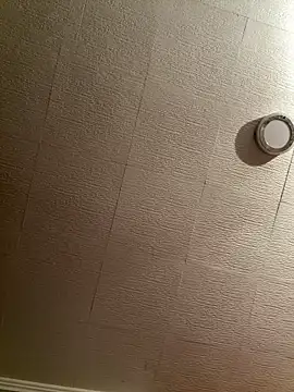 Snapshot of Evelin199 chatting on February 8, 2026, 8:45 pm Evelin199 online show from February 8, 2026, 8:45 pm