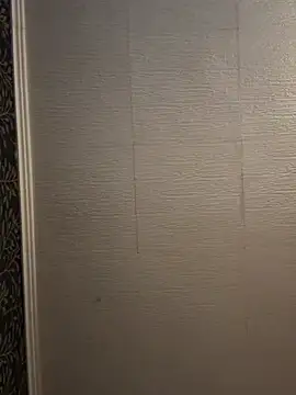 Snapshot of Evelin199 chatting on February 22, 2026, 7:56 pm Evelin199 online show from February 22, 2026, 7:56 pm