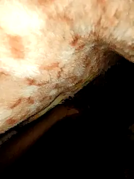 Snapshot of rohit16770 chatting on January 18, 2026, 7:06 pm rohit16770 online show from January 18, 2026, 7:06 pm