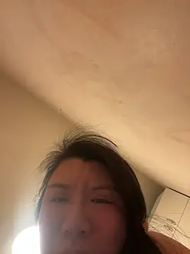 Snapshot of wy2026 chatting on February 11, 2026, 4:56 pm wy2026 online show from February 11, 2026, 4:56 pm