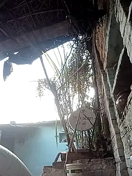 Snapshot of Hasmi_hot09 chatting on March 2, 2026, 2:03 am Hasmi hot09 online show from March 2, 2026, 2:03 am