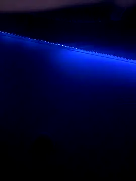 Actionlord7 online show from January 8, 2026, 3:03 pm