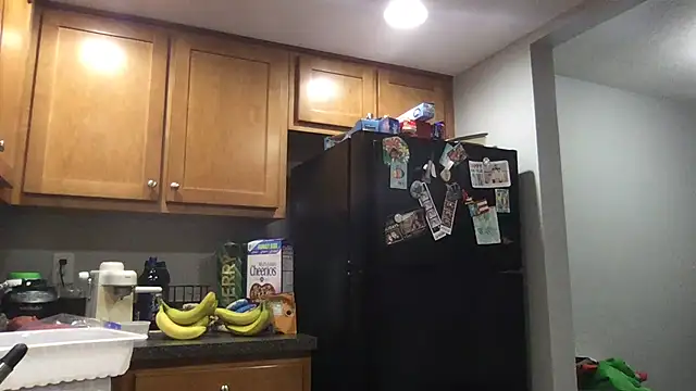 bottombeargaming online show from January 14, 2026, 2:28 am