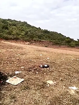 telugu026 online show from January 12, 2026, 4:29 am