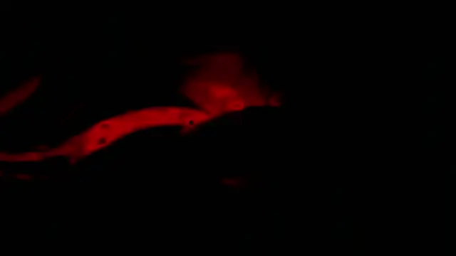 twink gabrielll online show from January 12, 2026, 2:28 am