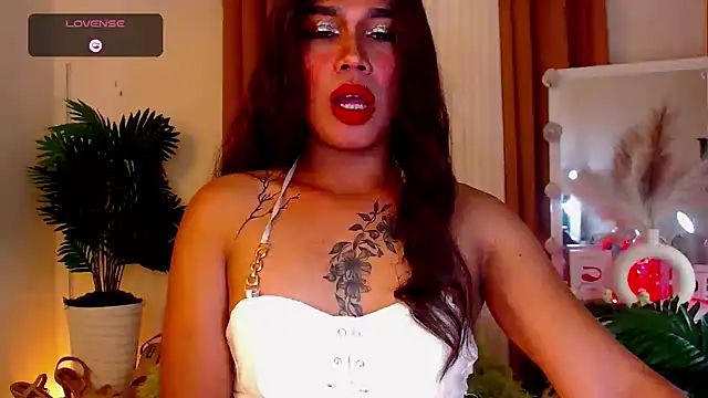 Snapshot of AmandaSmithTs chatting on February 11, 2026, 8:08 am AmandaSmithTs online show from February 11, 2026, 8:08 am