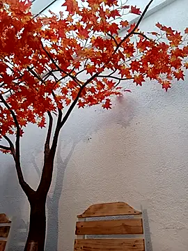 Dante Knox online show from March 25, 2026, 11:16 am