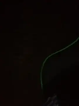 leox98xx online show from January 10, 2026, 9:33 am