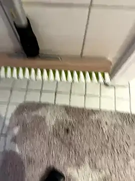 Snapshot of Hamsterdich chatting on January 18, 2026, 4:00 pm Hamsterdich online show from January 18, 2026, 4:00 pm