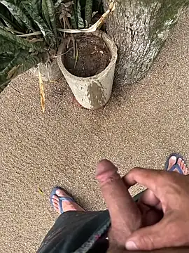 dogfrota online show from January 11, 2026, 7:30 pm