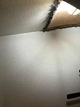 JoeyBlazy online show from January 12, 2026, 1:00 am