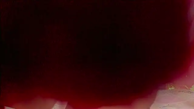 Snapshot of sweet__luna__ chatting on February 21, 2026, 11:00 am sweet luna online show from February 21, 2026, 11:00 am