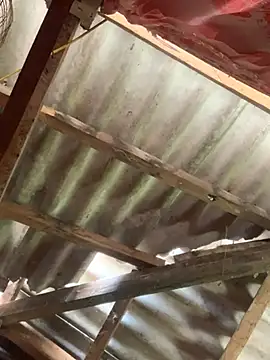 Suny-sexy online show from March 20, 2026, 1:54 am