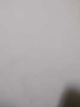 babysucxdick online show from January 14, 2026, 8:31 am