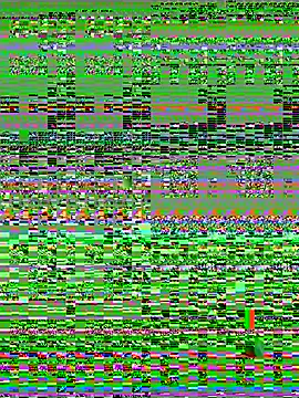 Wicy23 online show from May 14, 2026, 3:35 am