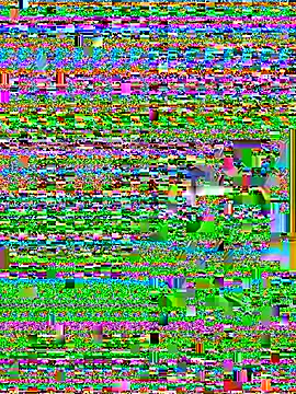 Wicy23 online show from May 29, 2026, 3:48 am