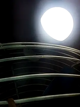 Snapshot of cutee_Baby_angel chatting on February 20, 2026, 8:20 pm cutee Baby angel online show from February 20, 2026, 8:20 pm