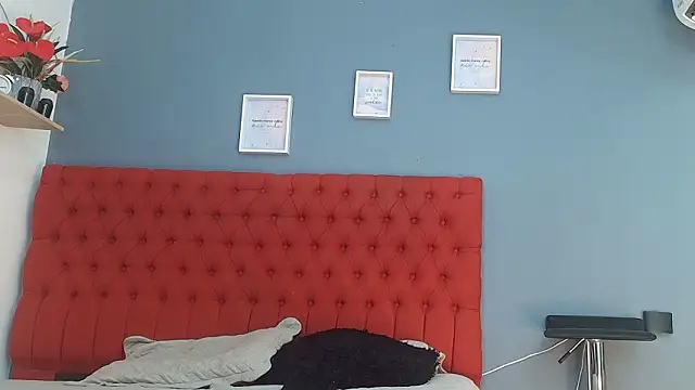 Snapshot of sofia_laverde chatting on February 12, 2026, 7:09 pm sofia laverde online show from February 12, 2026, 7:09 pm