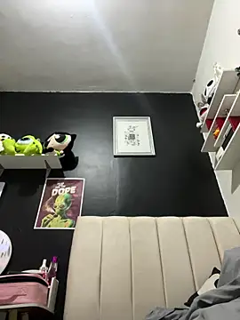 Snapshot of CarolinaRaven chatting on February 26, 2026, 4:44 am CarolinaRaven online show from February 26, 2026, 4:44 am