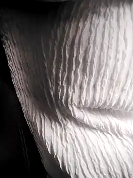 Snapshot of RosseLaure chatting on February 25, 2026, 7:56 pm RosseLaure online show from February 25, 2026, 7:56 pm