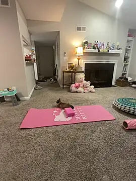 Snapshot of Pink_mink21 chatting on February 3, 2026, 3:48 am Pink mink21 online show from February 3, 2026, 3:48 am