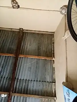 Snapshot of Blueberry23cupcake chatting on February 3, 2026, 4:43 am Blueberry23cupcake online show from February 3, 2026, 4:43 am