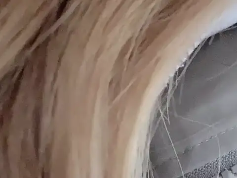 Snapshot of dingding-520 chatting on March 4, 2026, 1:06 pm dingding-520 online show from March 4, 2026, 1:06 pm