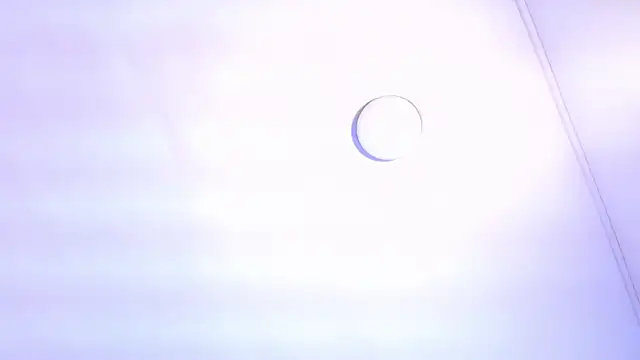 TINY TAY online show from February 11, 2026, 11:59 am