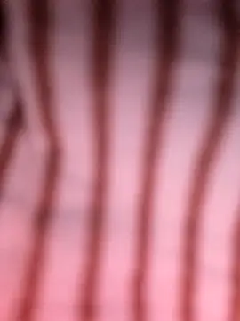 Heo xxinhxx online show from April 14, 2026, 11:11 pm