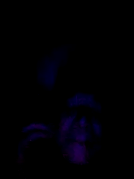 Snapshot of 061190 chatting on February 28, 2026, 3:46 pm 061190 online show from February 28, 2026, 3:46 pm