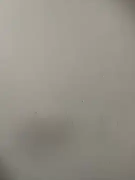 exoticshruti online show from February 18, 2026, 9:16 am