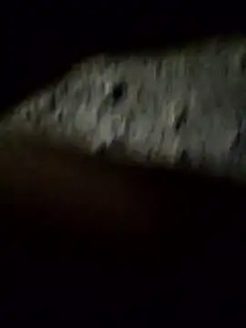 Snapshot of crazyxy12 chatting on February 8, 2026, 3:48 pm crazyxy12 online show from February 8, 2026, 3:48 pm