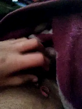 Snapshot of crazyxy12 chatting on February 12, 2026, 5:02 am crazyxy12 online show from February 12, 2026, 5:02 am