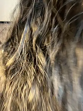 Snapshot of Denise_wolfe21 chatting on February 19, 2026, 7:43 pm Denise wolfe21 online show from February 19, 2026, 7:43 pm