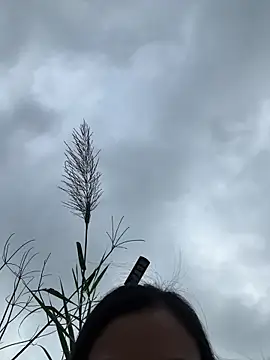 Snapshot of Caramel_sexy chatting on February 7, 2026, 7:34 am Caramel sexy online show from February 7, 2026, 7:34 am