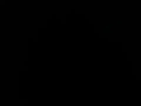 paula ross  online show from February 9, 2026, 11:42 pm