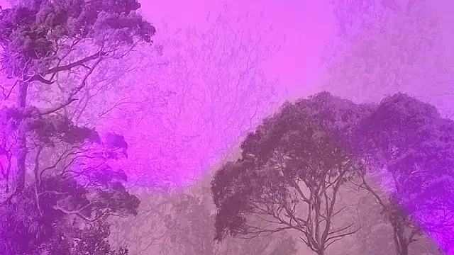 Snapshot of Elizabeth_Ferrer chatting on March 16, 2026, 12:09 pm Elizabeth Ferrer online show from March 16, 2026, 12:09 pm