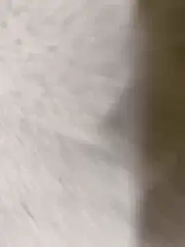 Snapshot of chennai_sexyboy chatting on February 8, 2026, 4:32 pm chennai sexyboy online show from February 8, 2026, 4:32 pm