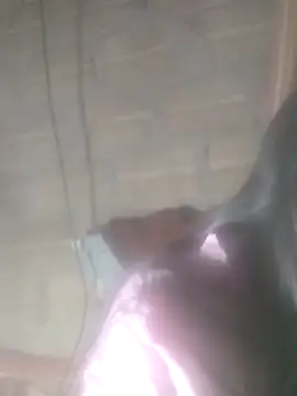 Yang-my- online show from February 13, 2026, 3:08 pm