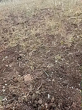 Snapshot of yusu_3 chatting on February 23, 2026, 11:40 am yusu 3 online show from February 23, 2026, 11:40 am